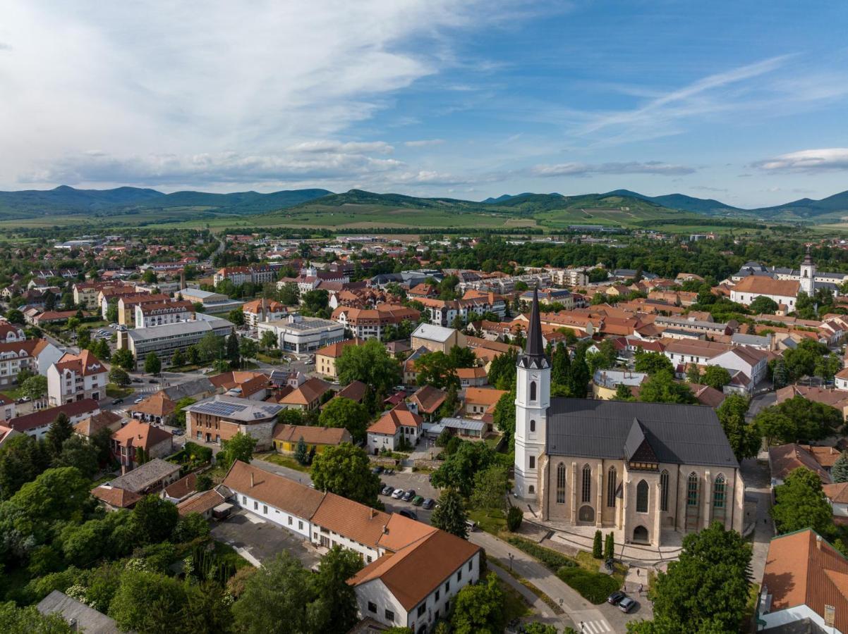 Hotel Bodrog Wellness & Elix Spa Шарошпатак Экстерьер фото