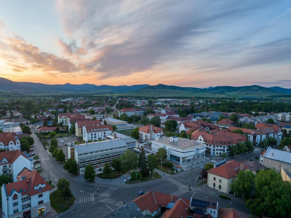 Hotel Bodrog Wellness & Elix Spa Шарошпатак Экстерьер фото