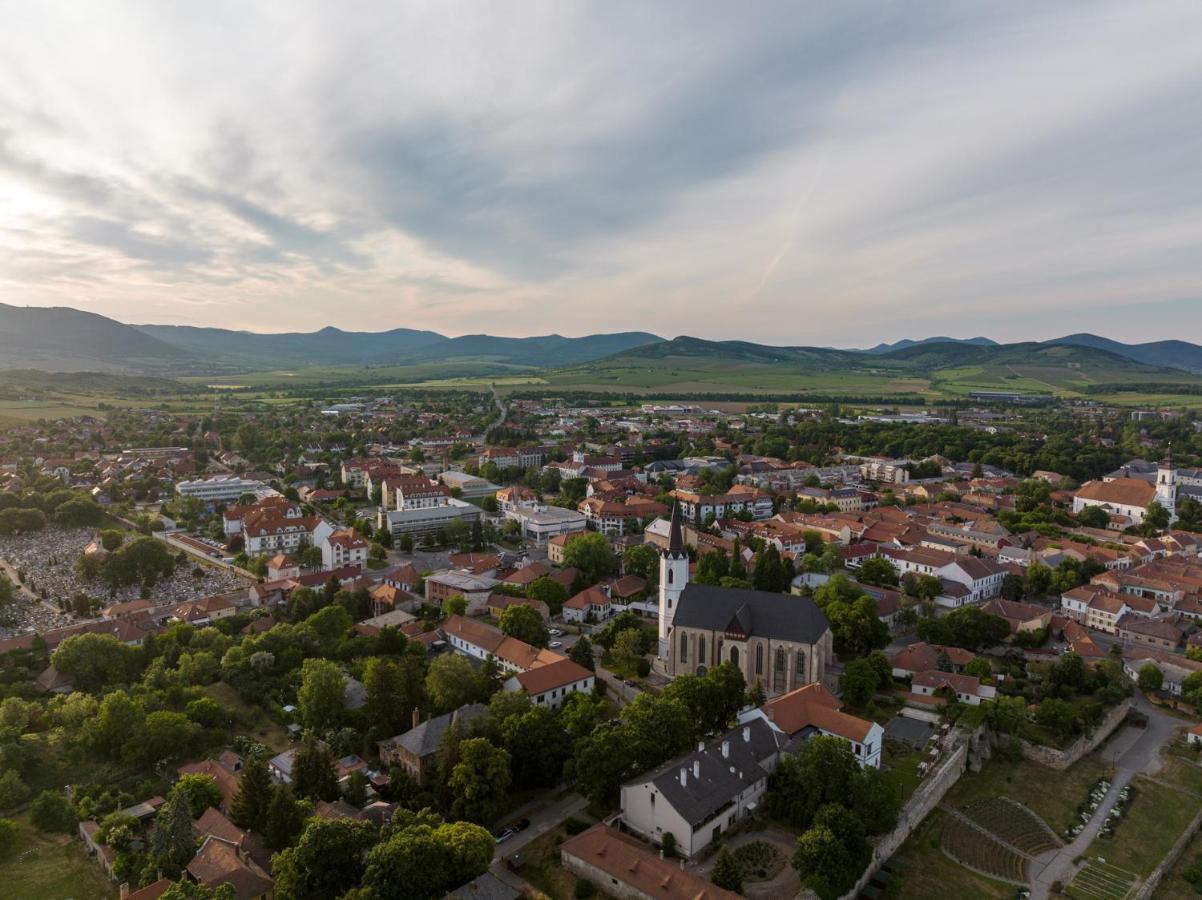 Hotel Bodrog Wellness & Elix Spa Шарошпатак Экстерьер фото