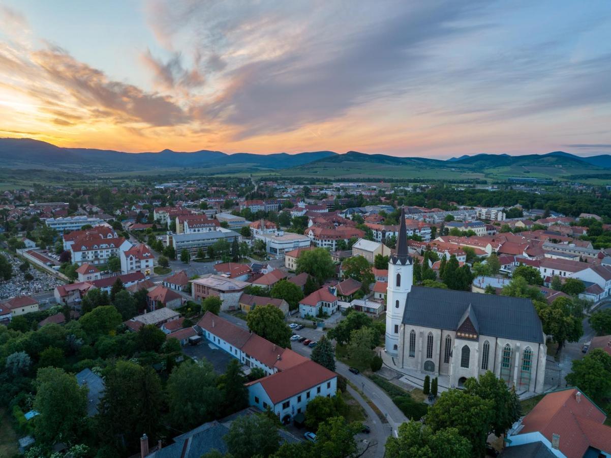 Hotel Bodrog Wellness & Elix Spa Шарошпатак Экстерьер фото